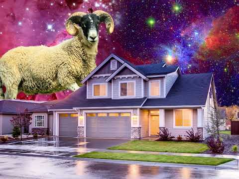 Aries in the 4th House: Bold, Fiery Energy in Your Home Life