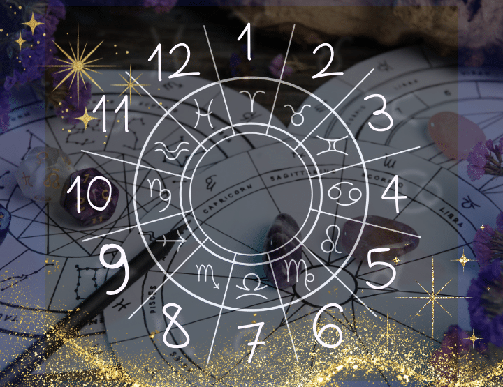 zodiac wheel showing the 12 astrological houses