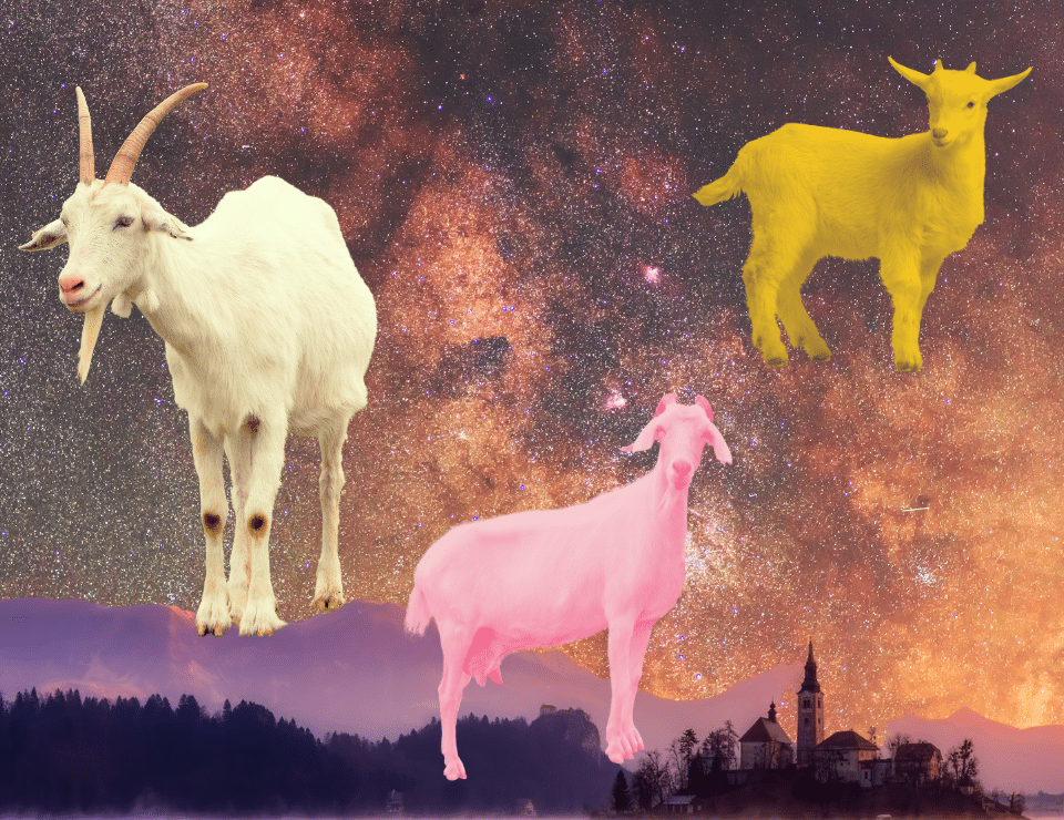 three brightly colored goats on starry night background
