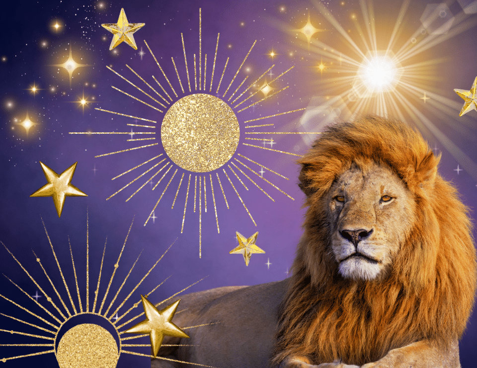 a lion on a purple background with gold stars and sun dotted around him
