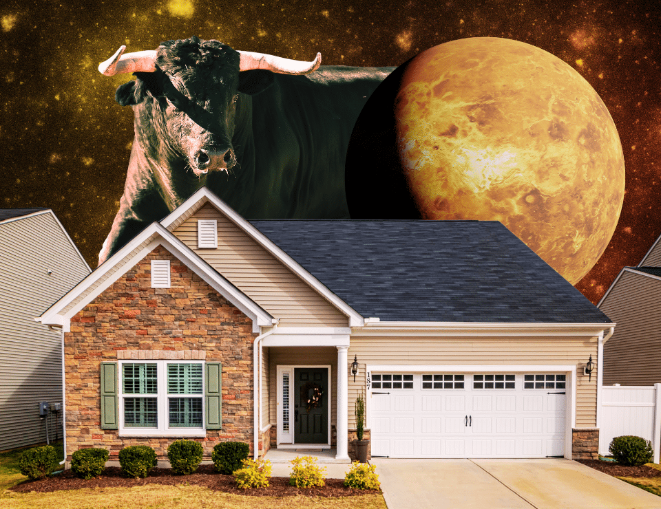 a large black bull standing behind a large house with a dark space background