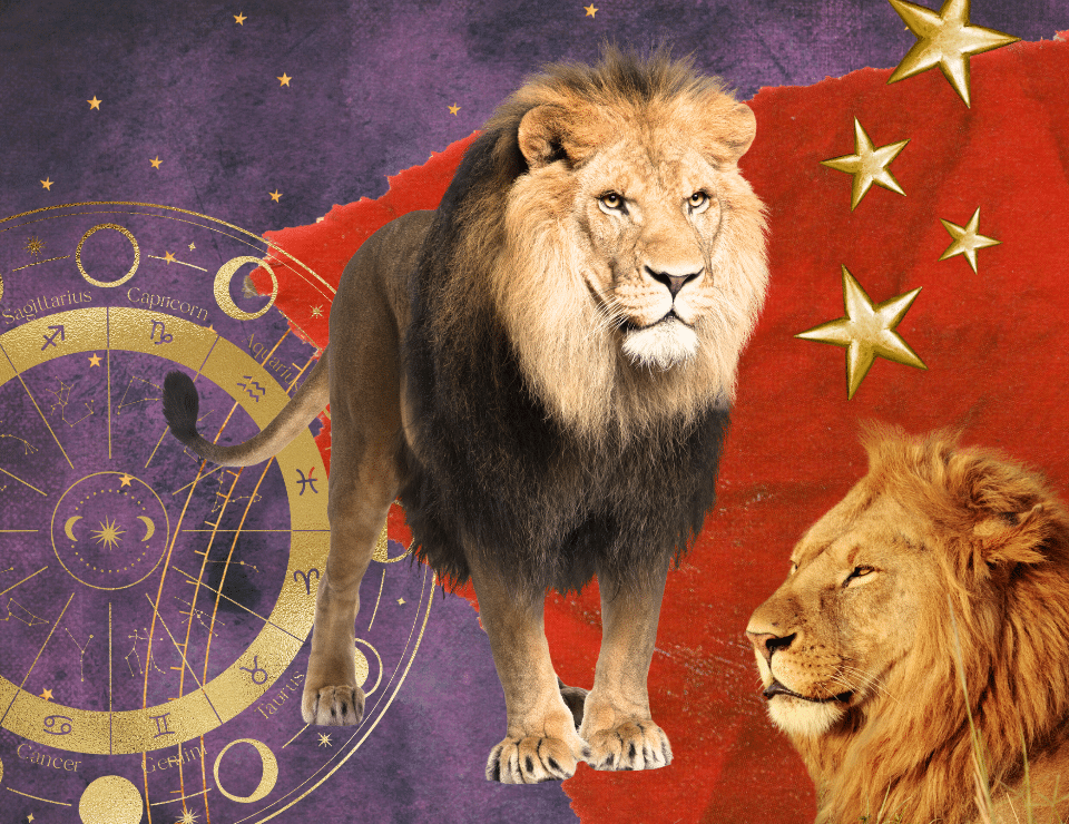 two lions on a collage background of purple and red with gold stars dotted around