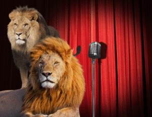 I’m a Leo — But I Dislike Attention