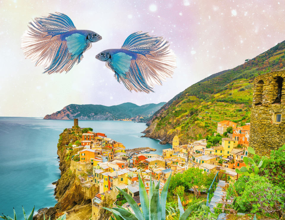 a collage of two identical, brightly colored fish swimming in opposite directions above a group of houses by the sea on a pink cloudy background