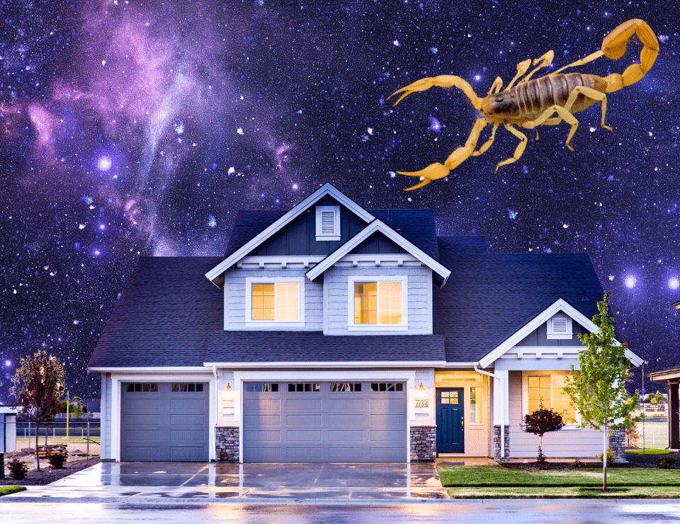 an illustration of a pale brown scoprion above a large pretty home on a dark purple background