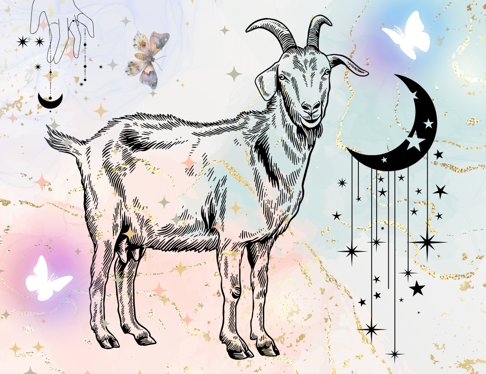 Capricorn in 2nd House: Building Wealth that Lasts