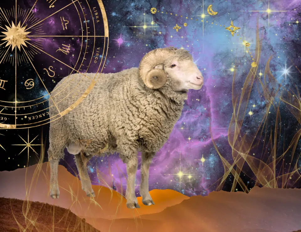 I’m an Aries but I’m Shy — Why It Happens