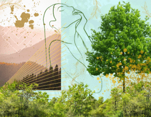 Taurus in 2nd House: Rooted in Riches