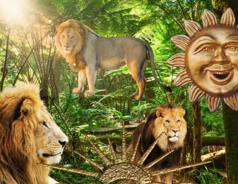 a collection of photos of lions on a jungle background