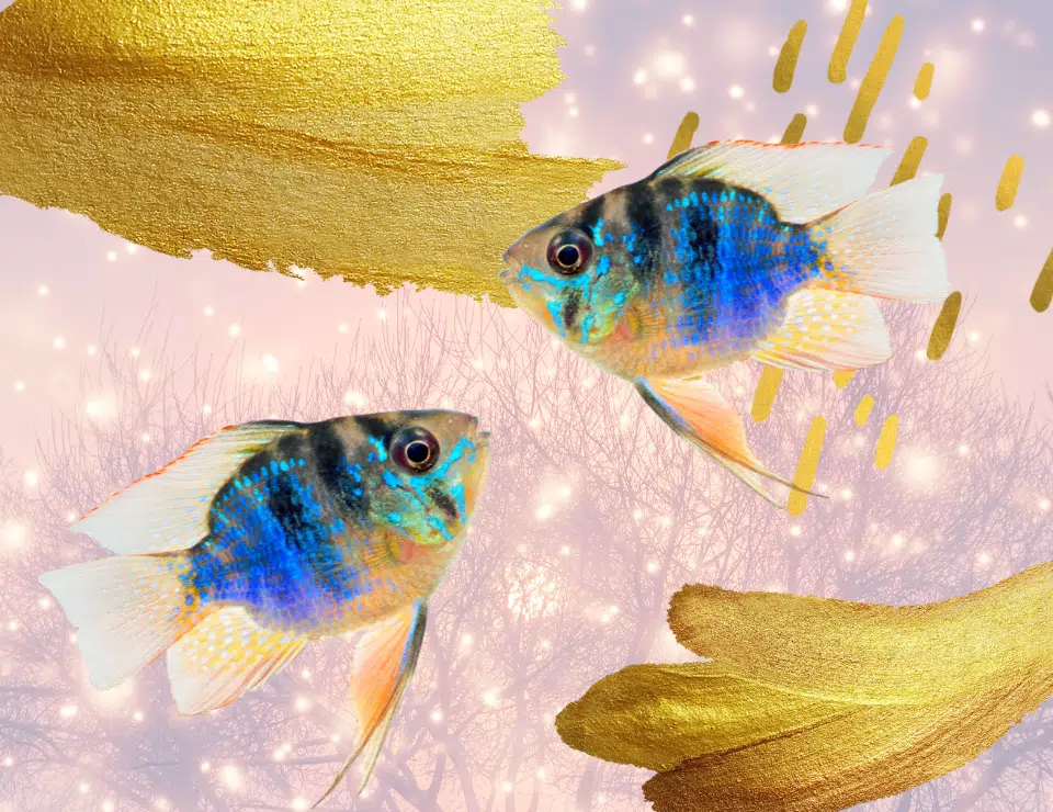 Pisces in 5th House: Romance, Art, and Enchantment