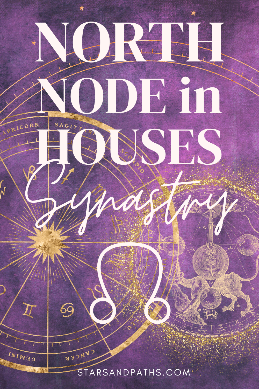 North Node in the Houses in Synastry | Stars & Paths Astrology
