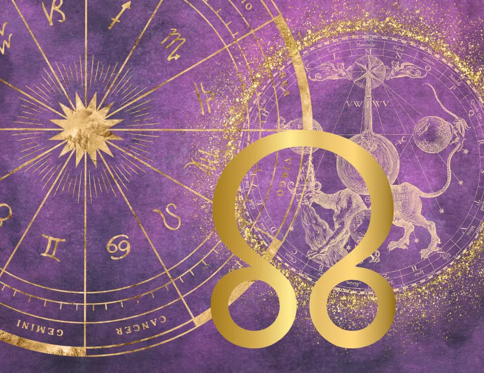 North Node in Houses Synastry