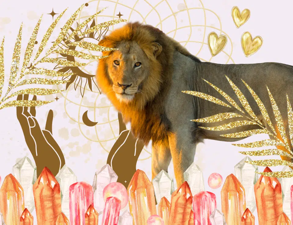 Leo in 5th House: Where Creativity Roars to Life