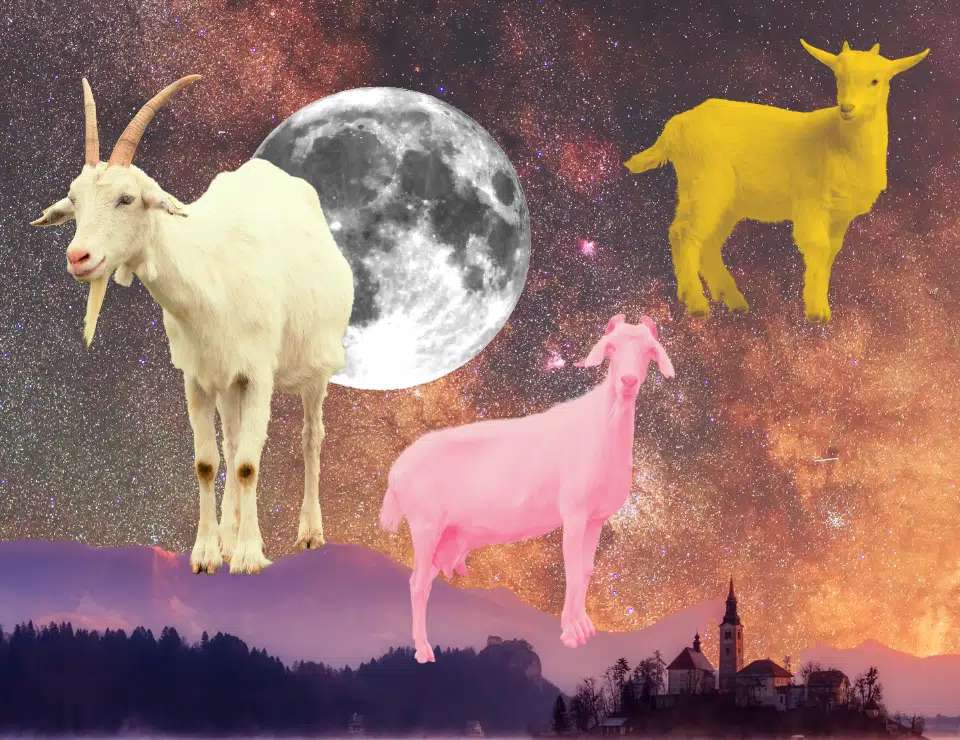 Natal Moon in Capricorn: The Steady Heart