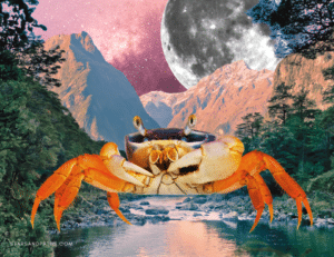 Natal Moon in Cancer: Home Is Where the Heart Is